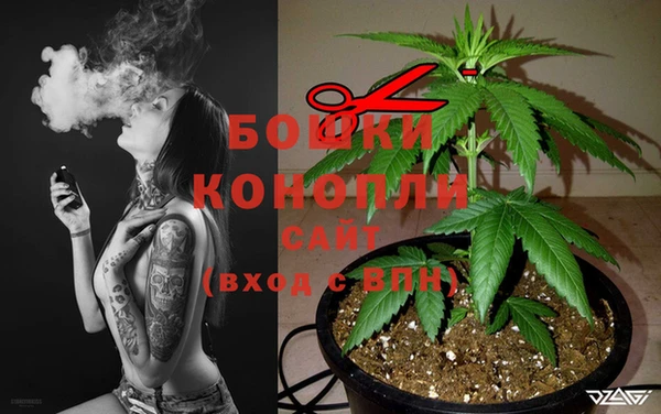 2c-b Абаза