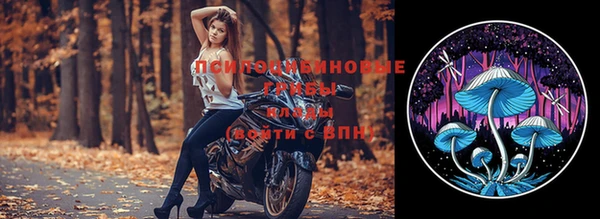 твердый Алексин